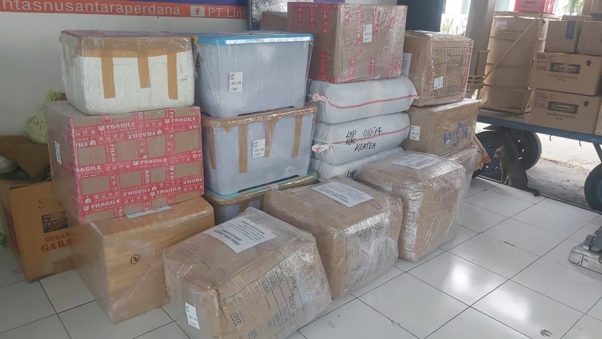 Bongkar Muat Pelabuhan Papua - Karya Papua Logistik Ekspedisi Kargo Laut Surabaya Papua
